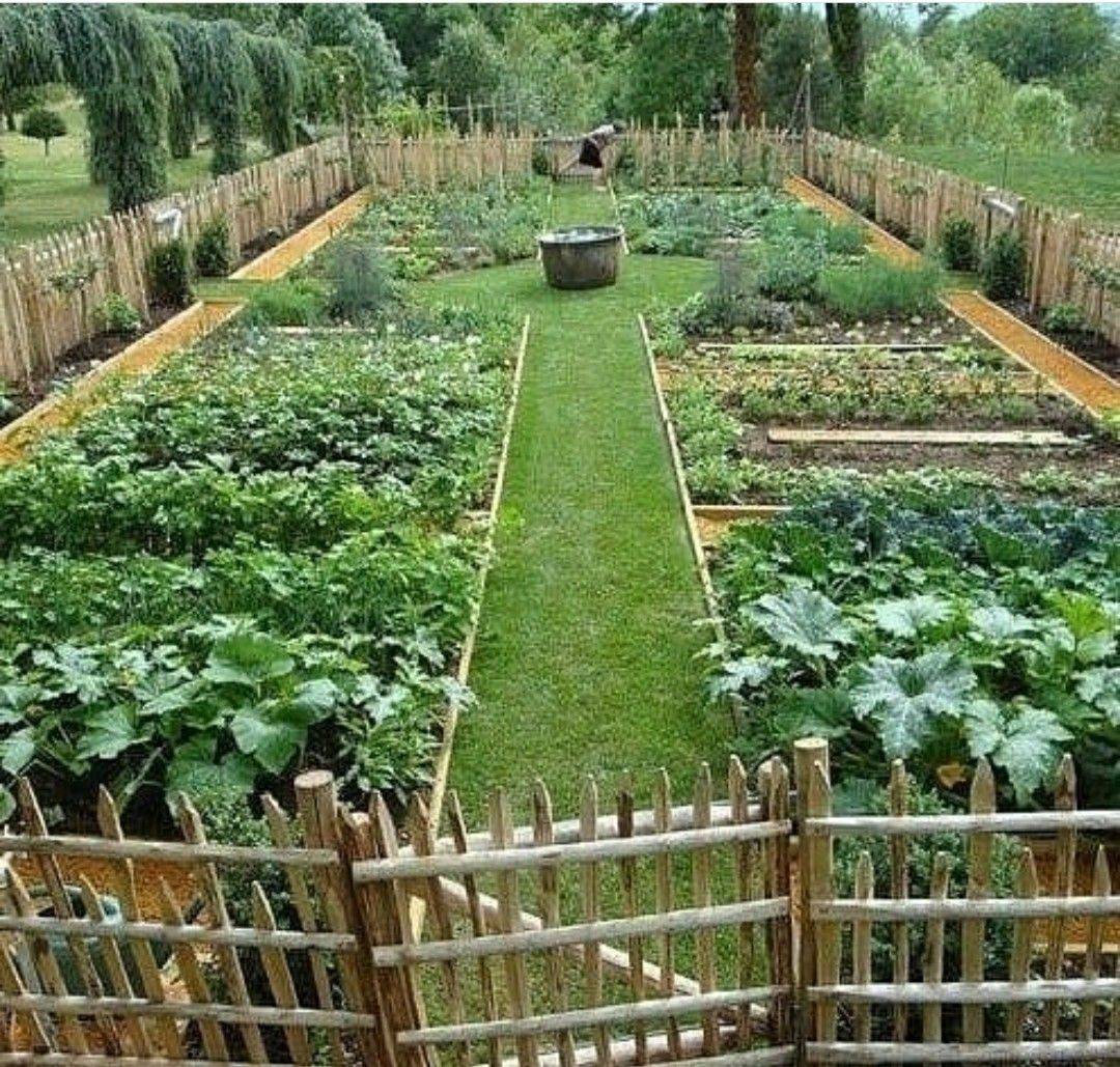 Easy Vegetable Garden Layout Ideas