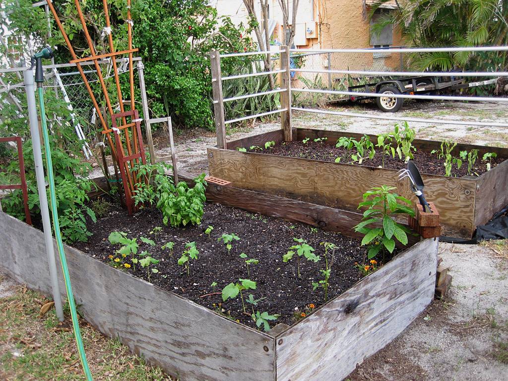 Ground Garden W Decorative Flowers