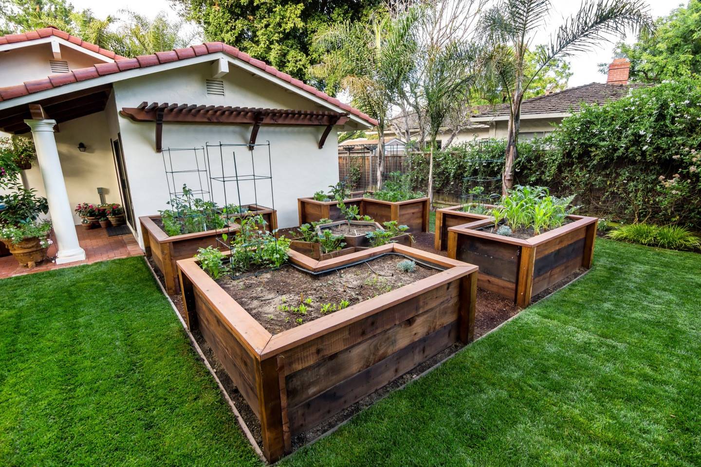 Ground Vegetable Garden Best Home Design Ideas