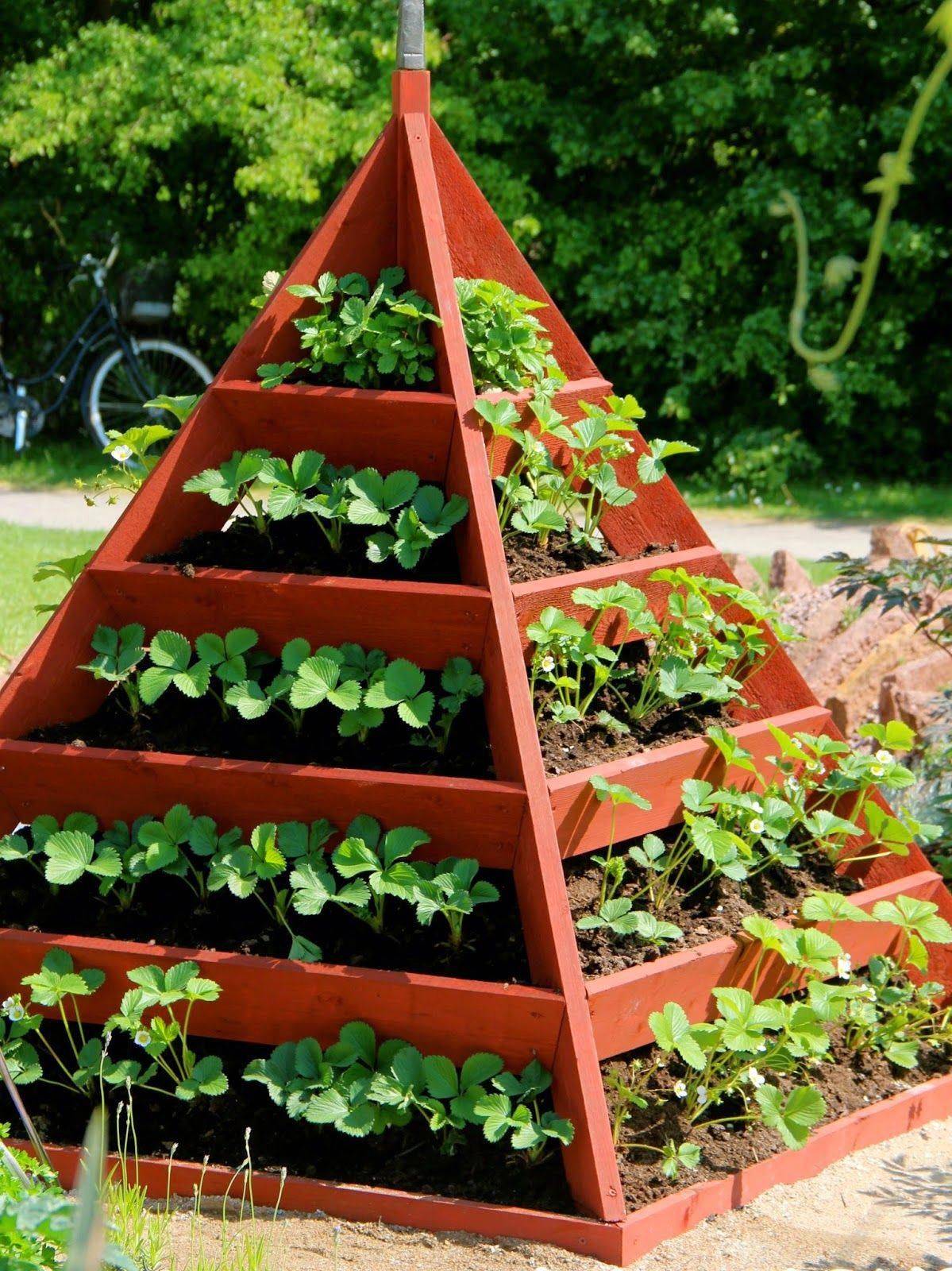 Beautiful Raised Garden Bed Ideas Vegetables