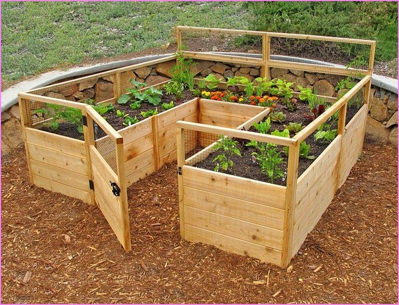 Creative Diy Backyard Vegetable Garden House Design