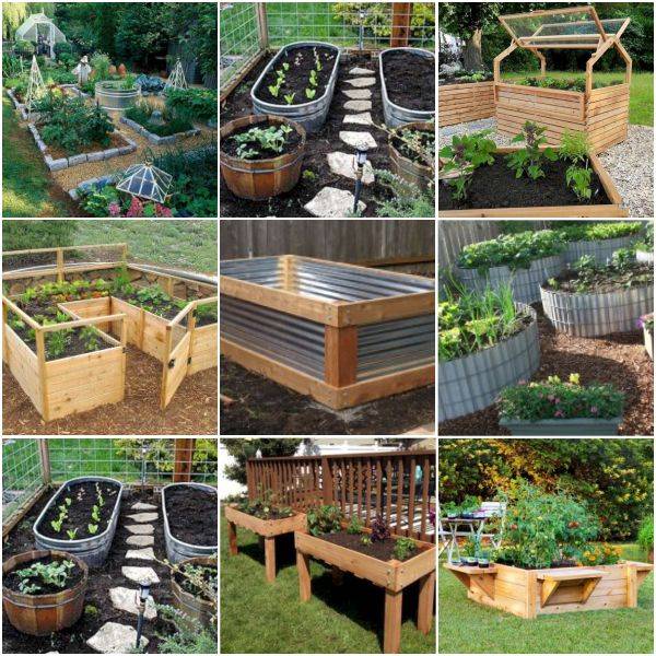 Vegetable Gardening