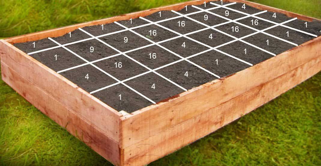 Vegetablegardenideas Garden Boxes