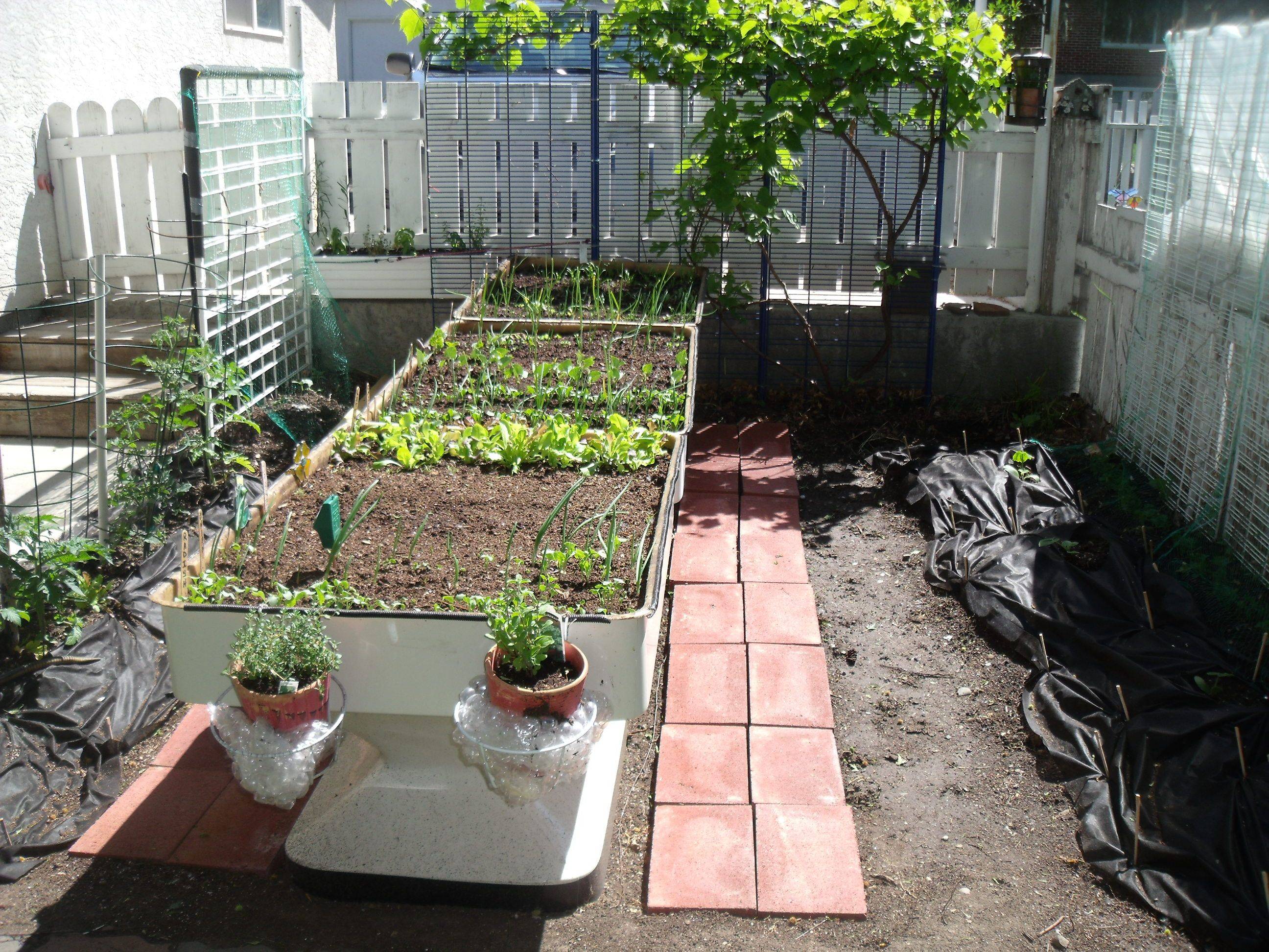 Ground Garden