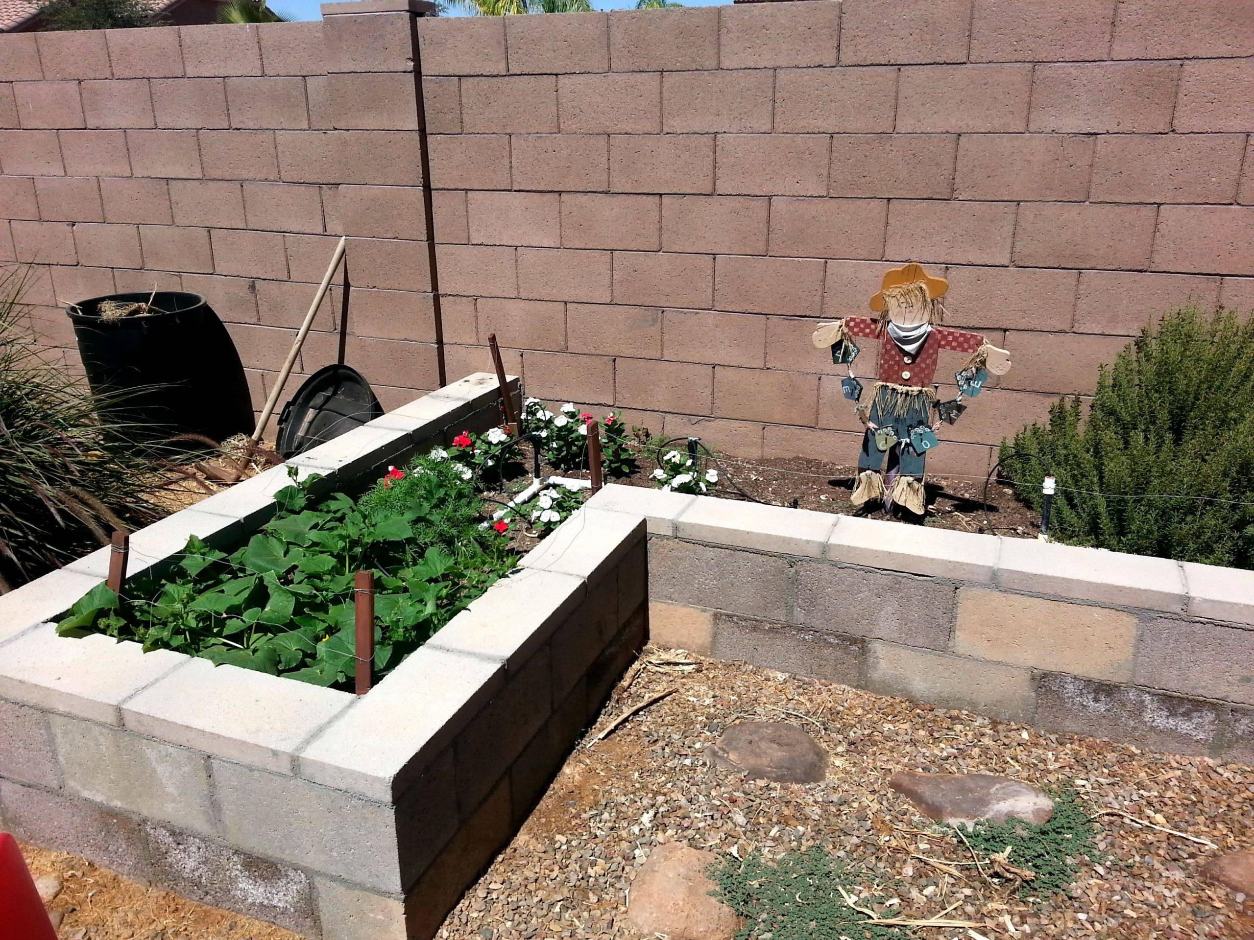 Raised Vegetable Garden Beds Kits Best Home Design Ideas Gallery