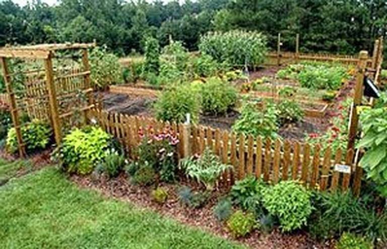 Vegetable Garden