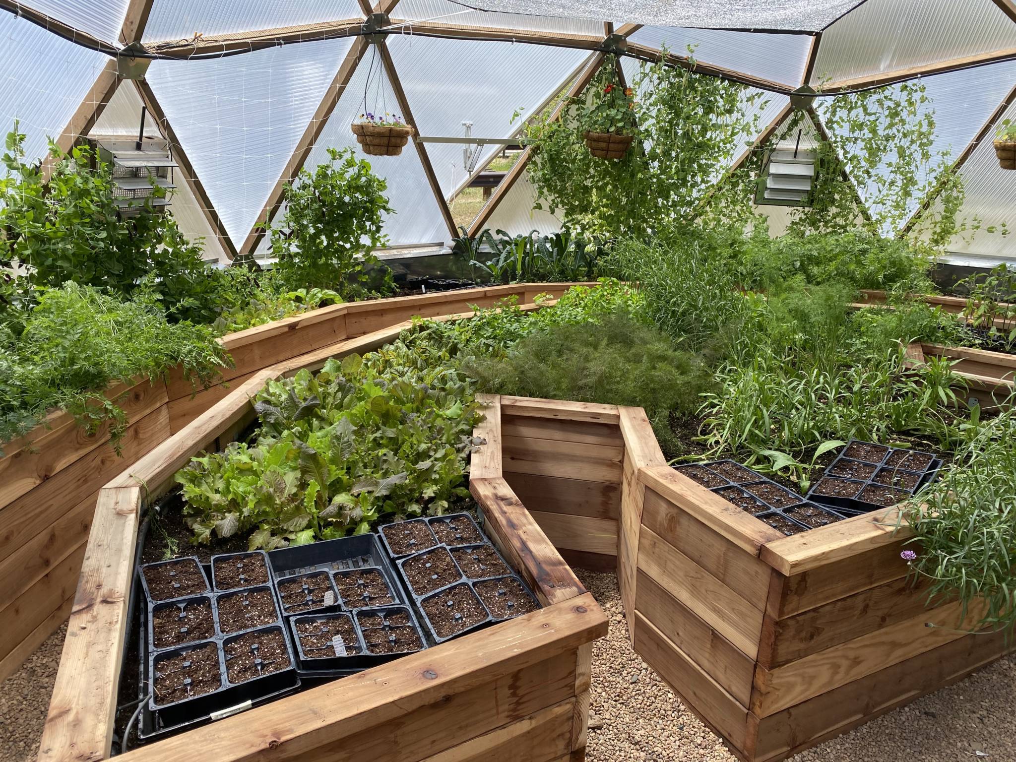 Backyard Vegetable Gardens Page
