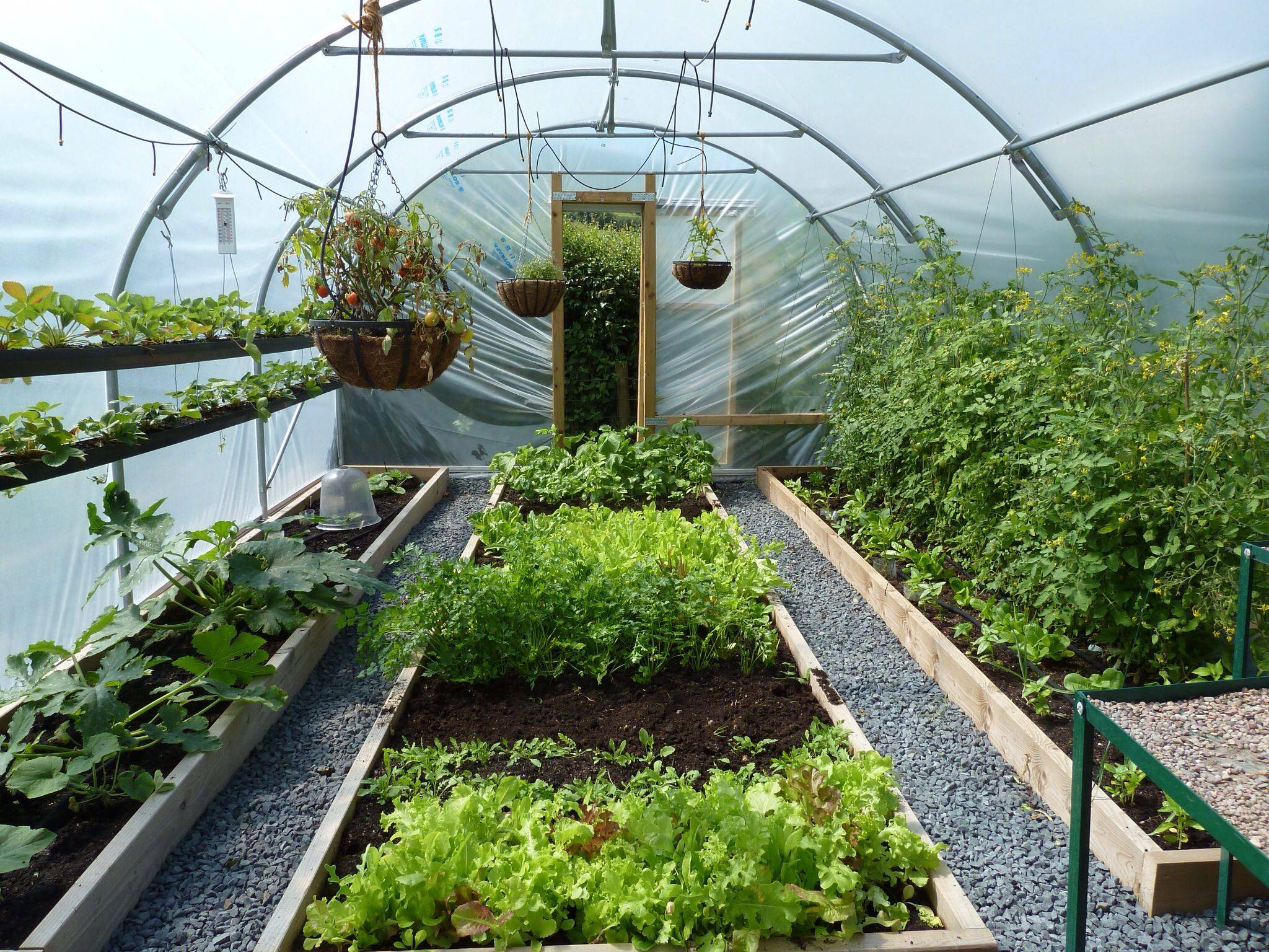 This Greenhouse Ideas