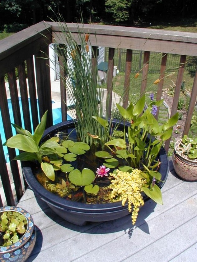 Water Garden Landscaping Ideas