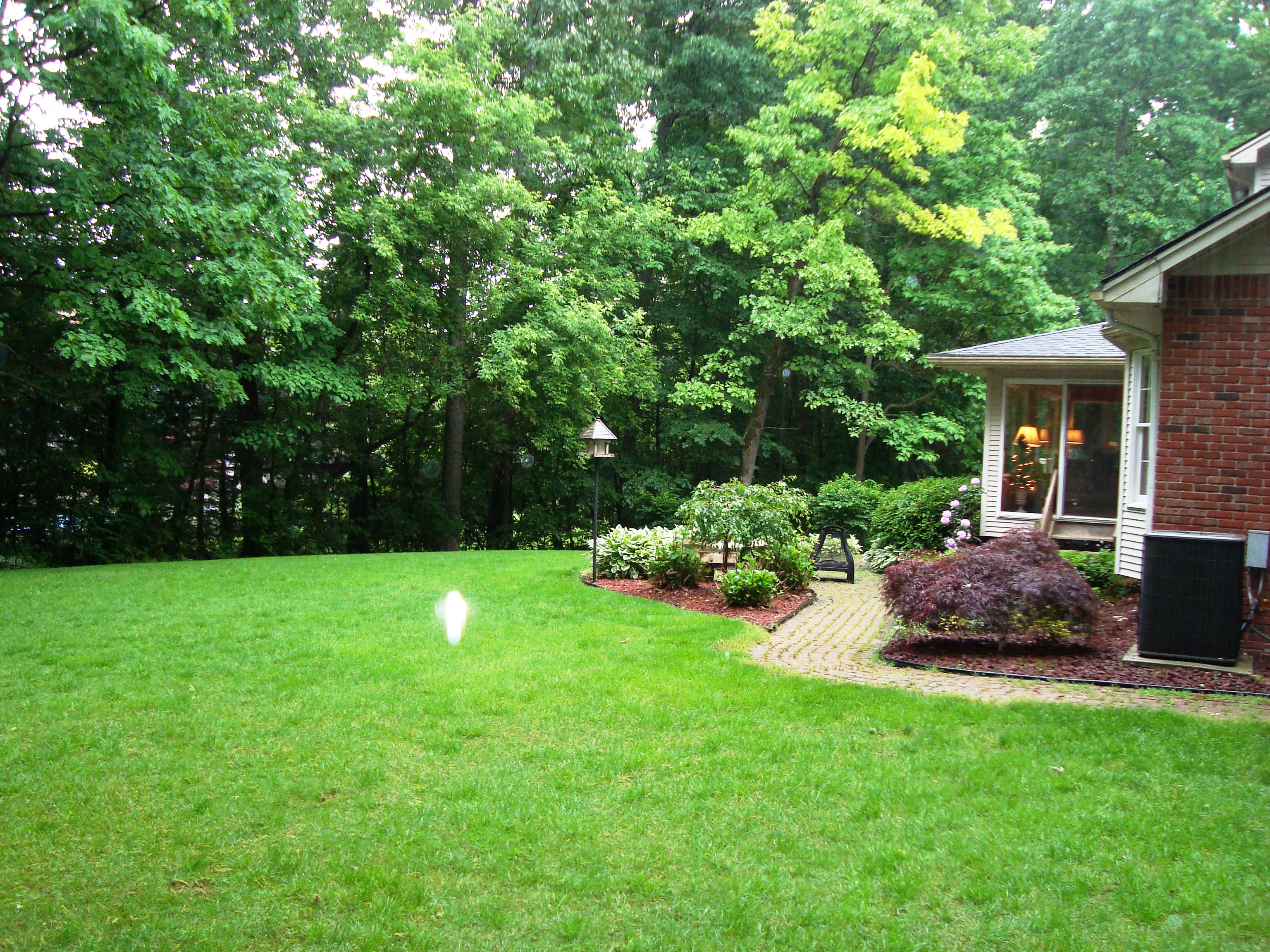 Beautiful Backyard Design Ideas