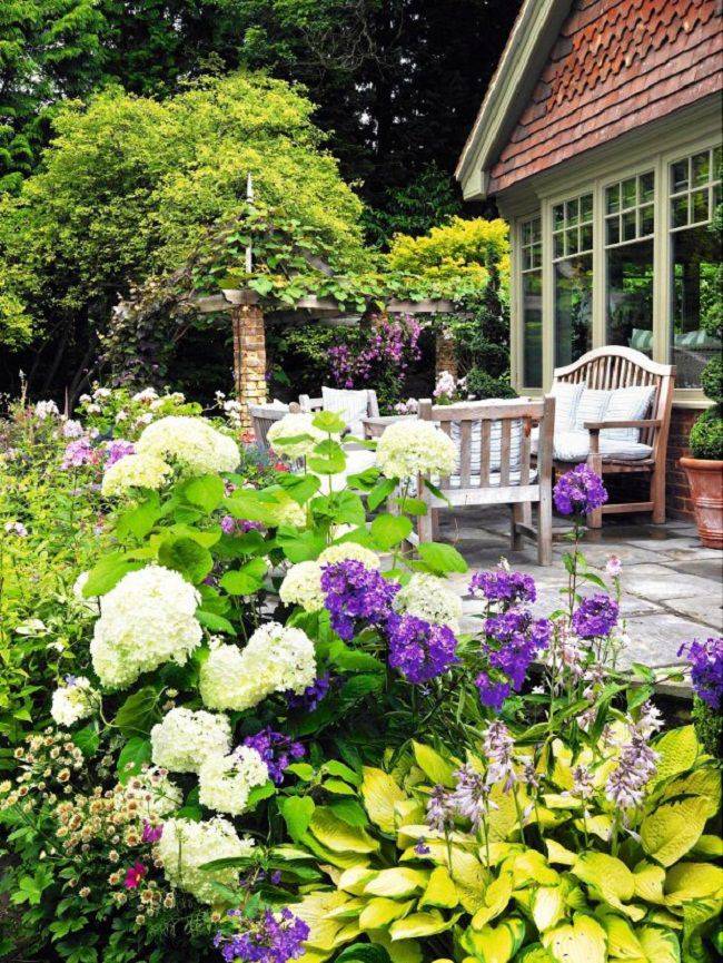Garden Plant Hydrangea Garden Flower Creative Garden Ideas