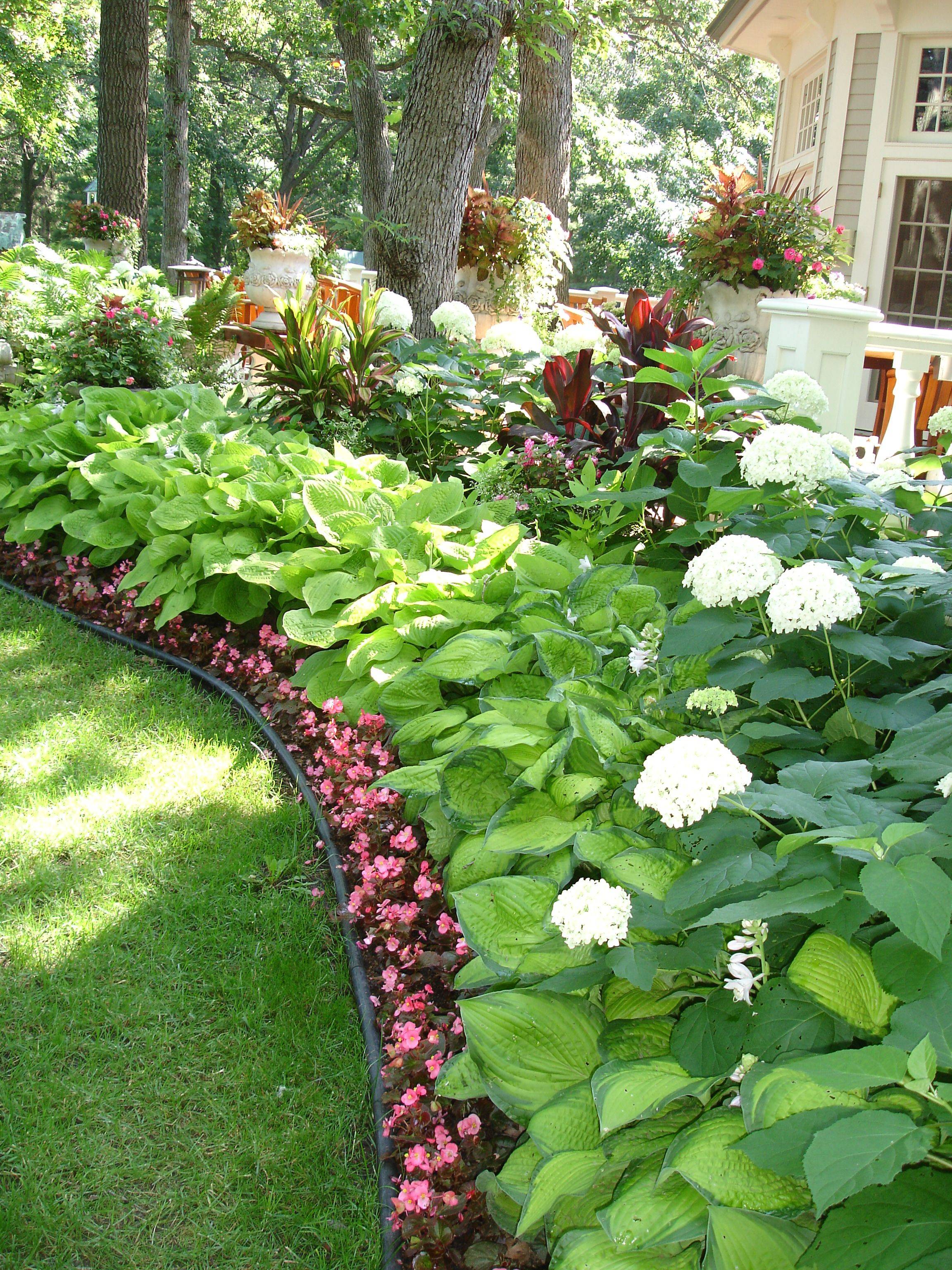 Most Beautiful Hydrangeas Landscaping Ideas