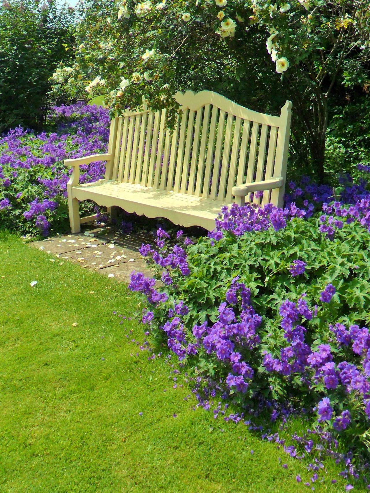 Garden Bench Ideas