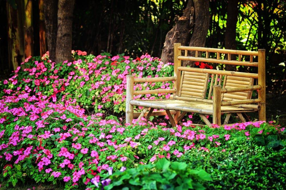 Flower Garden Designs Youll Love