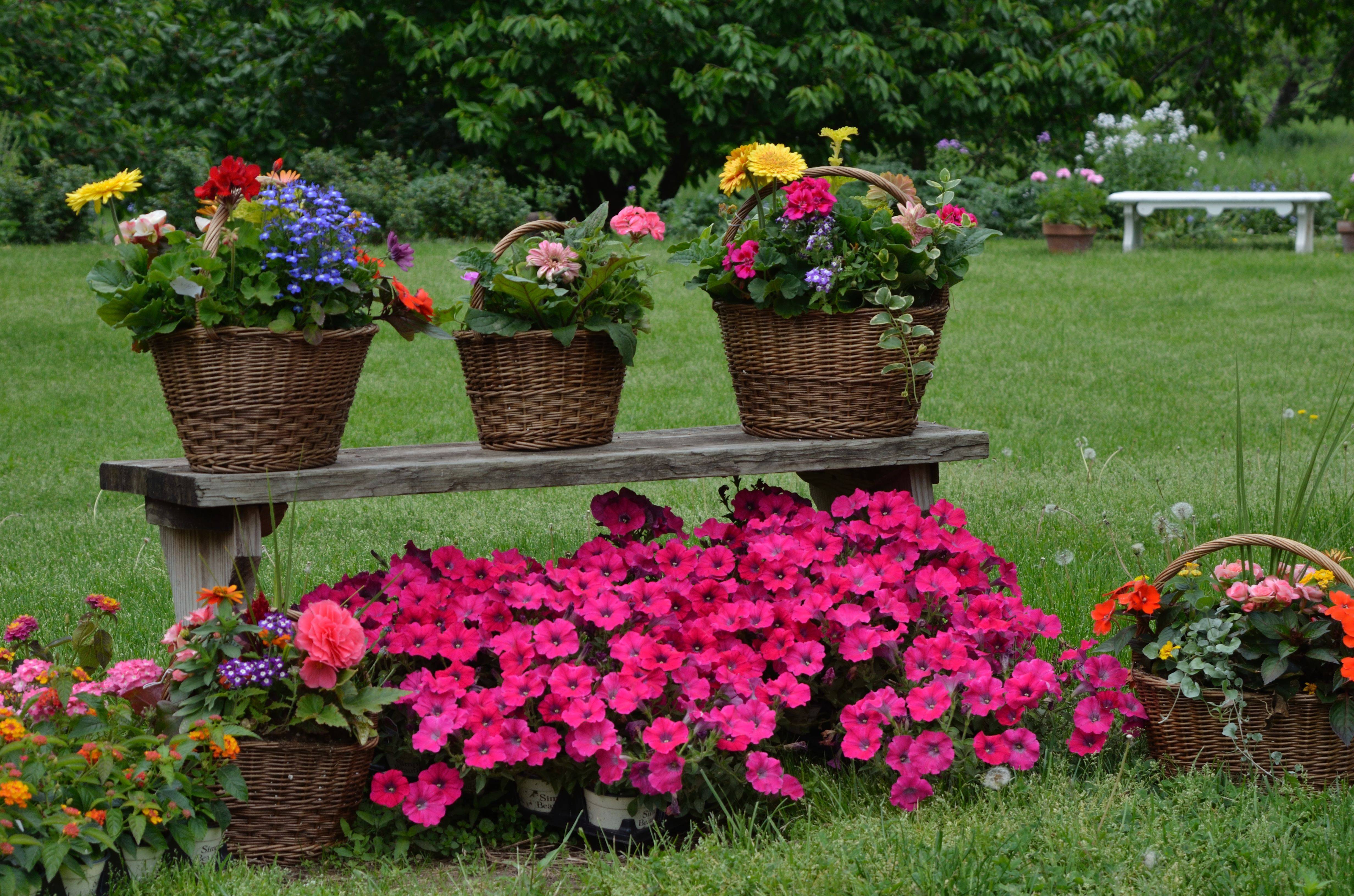 A Garden Bench