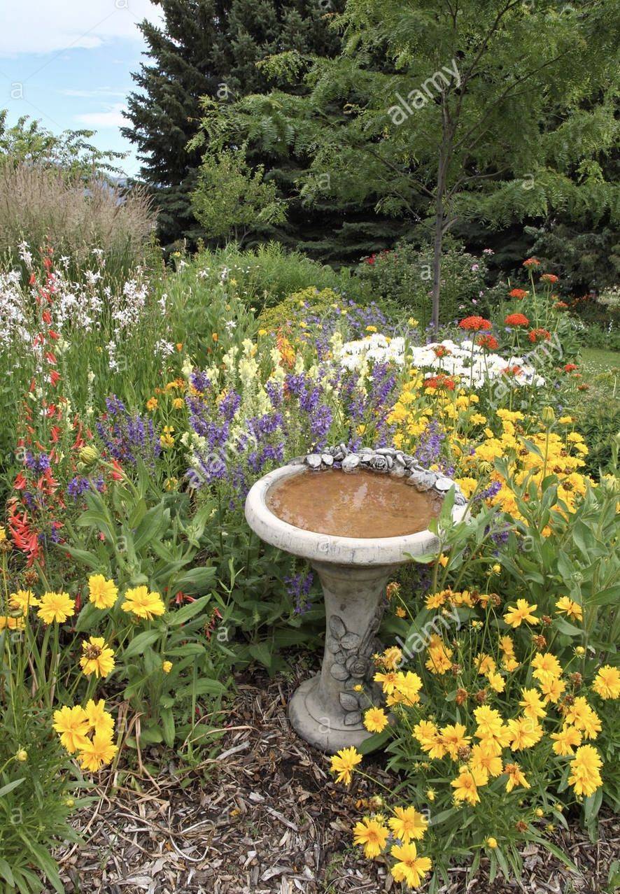 21 Bird Bath Garden Ideas with Flowers To Consider SharonSable