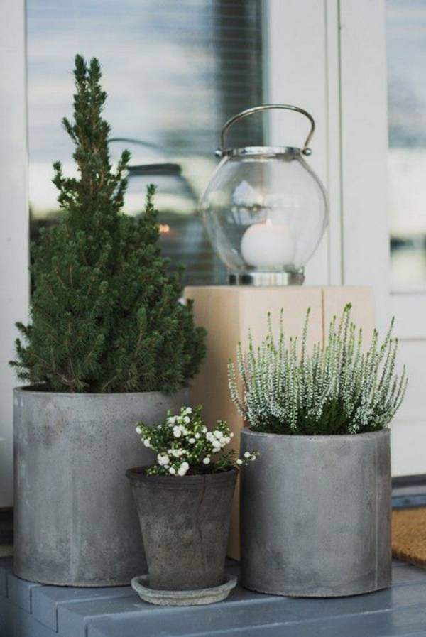 Most Beautiful Winter Garden Ideas