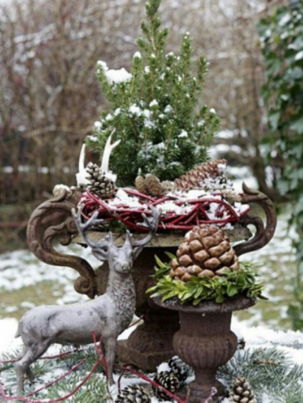 Inspiring Winter Container Gardening Ideas