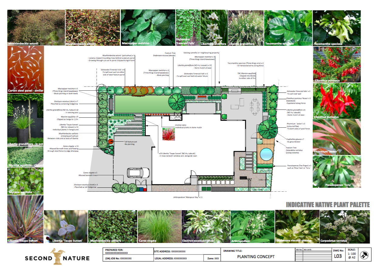 Vegetable Garden Plans