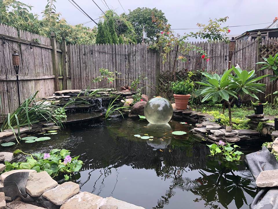 Diy Water Garden Ideas