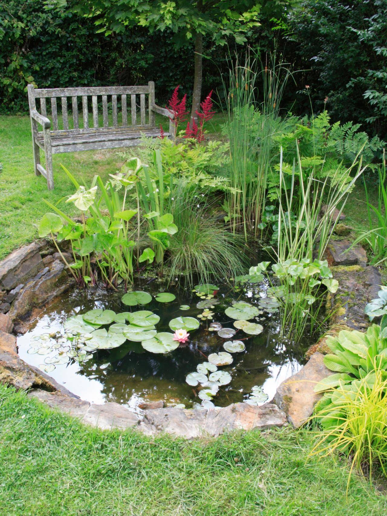 Diy Garden Pond Waterfall Ideas Frugal Living Garden Pond Design