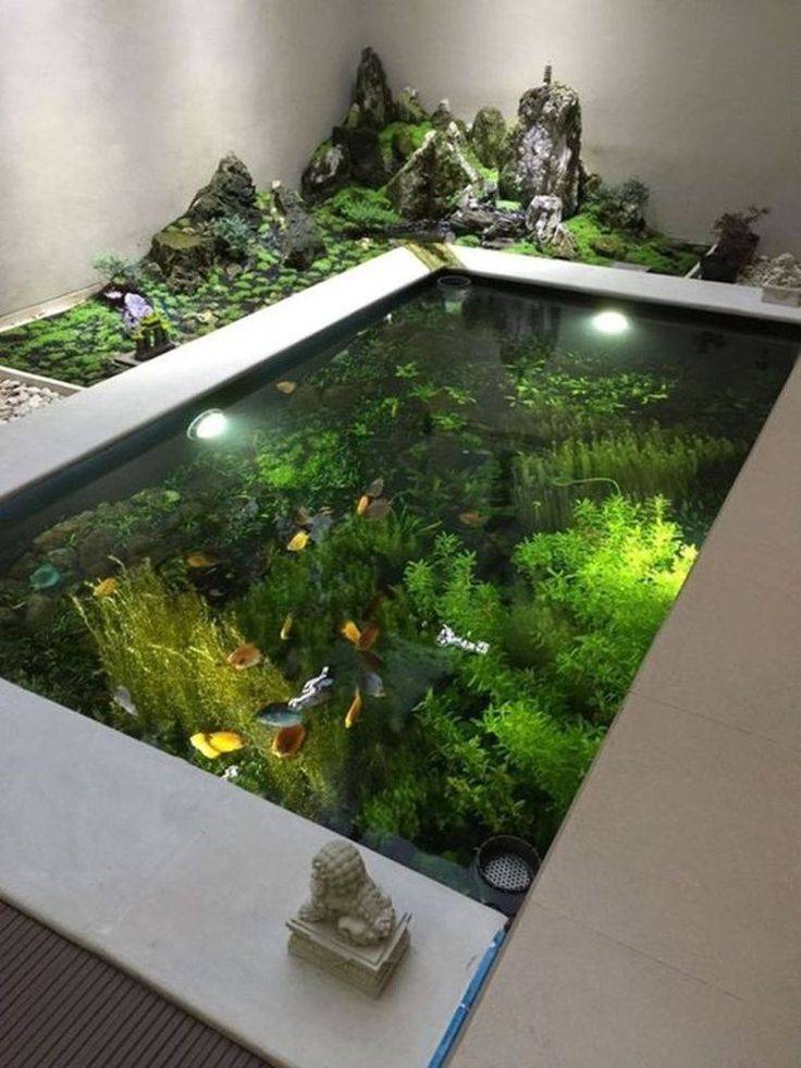Surprising Indoor Water Garden Ideas