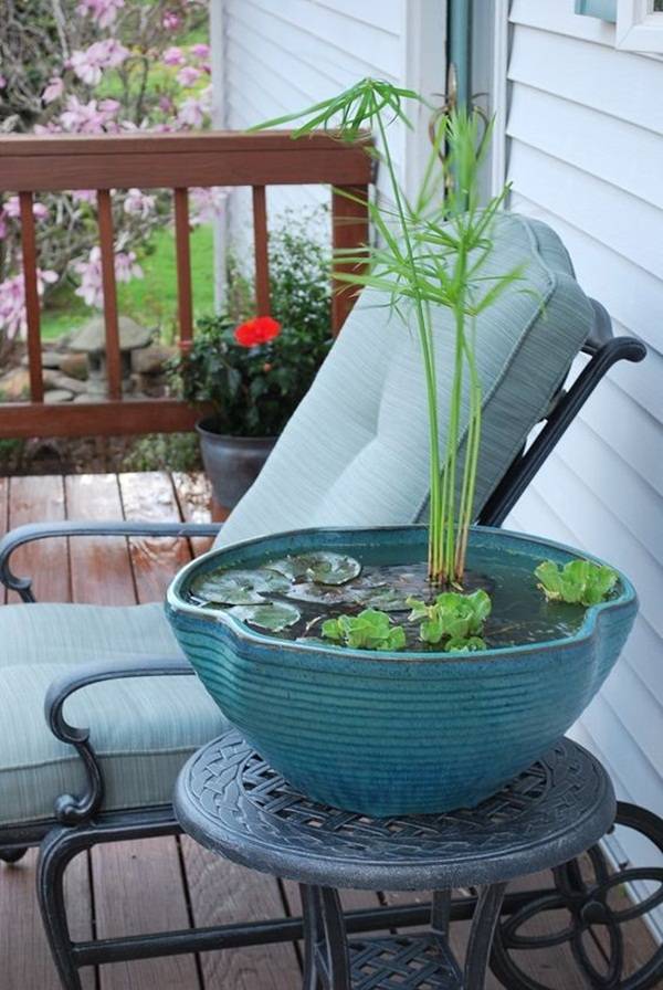 Fabulous Indoor Water Garden Ideas