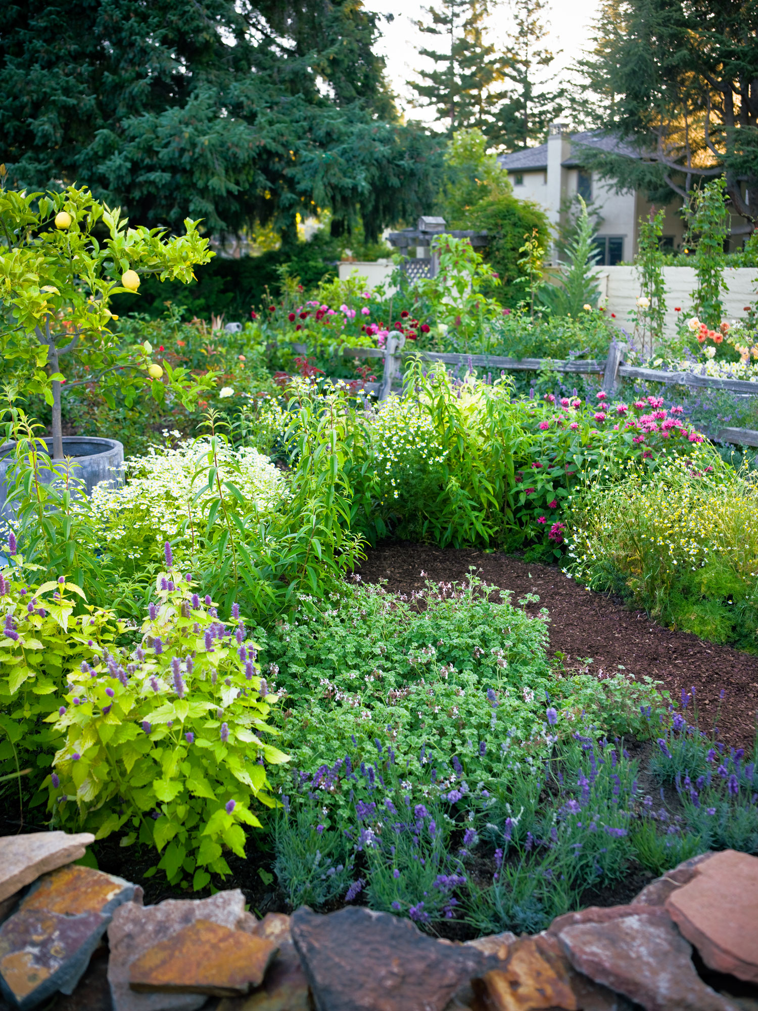Picturesque Colorful Garden Ideas