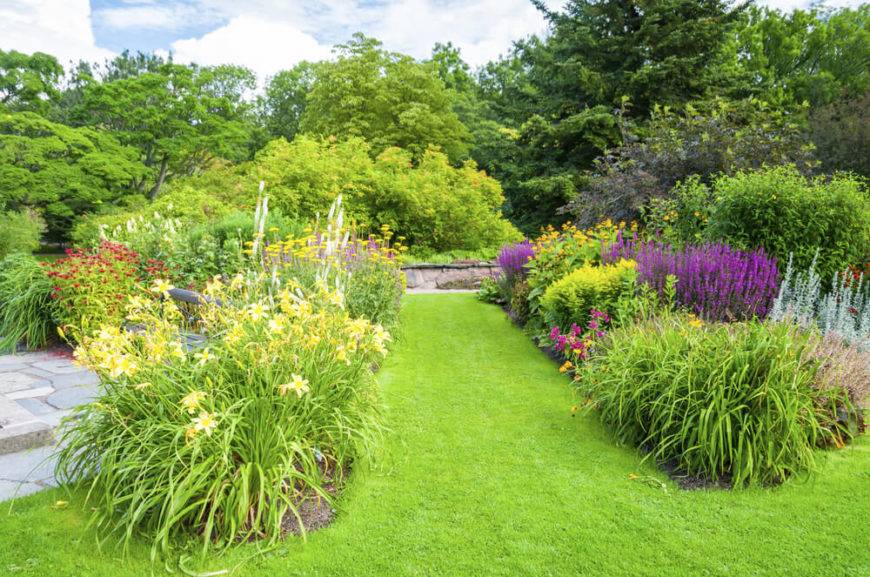 Perennial Garden Plants