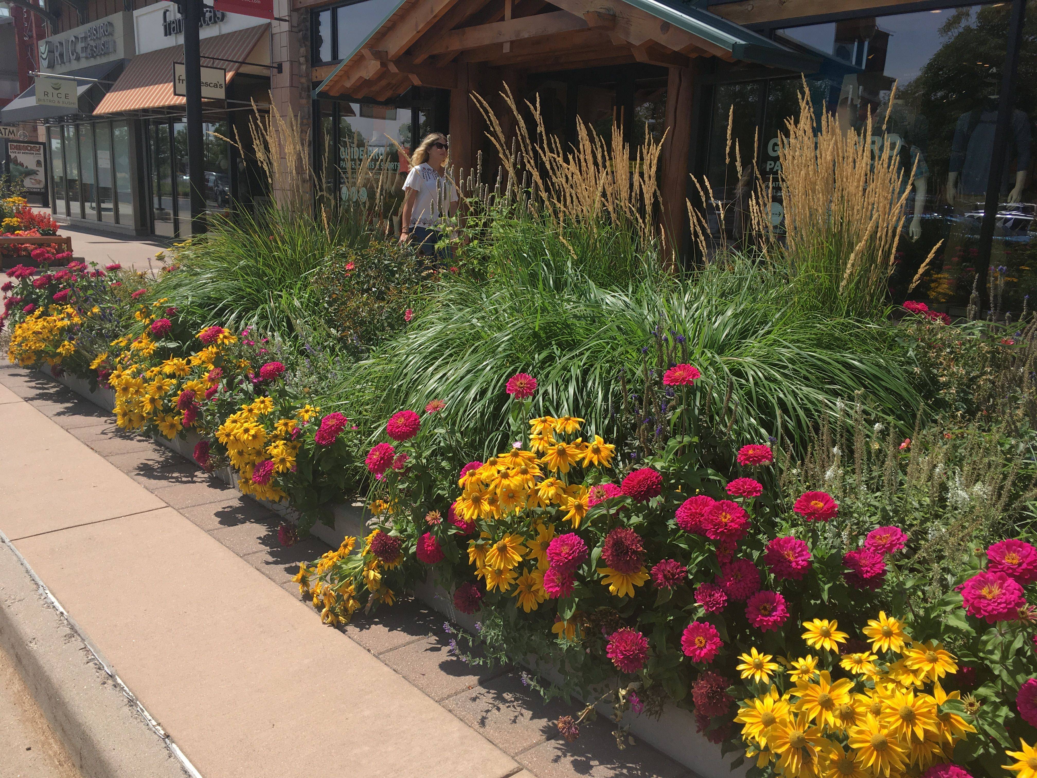 Perennial Garden Design Ideas