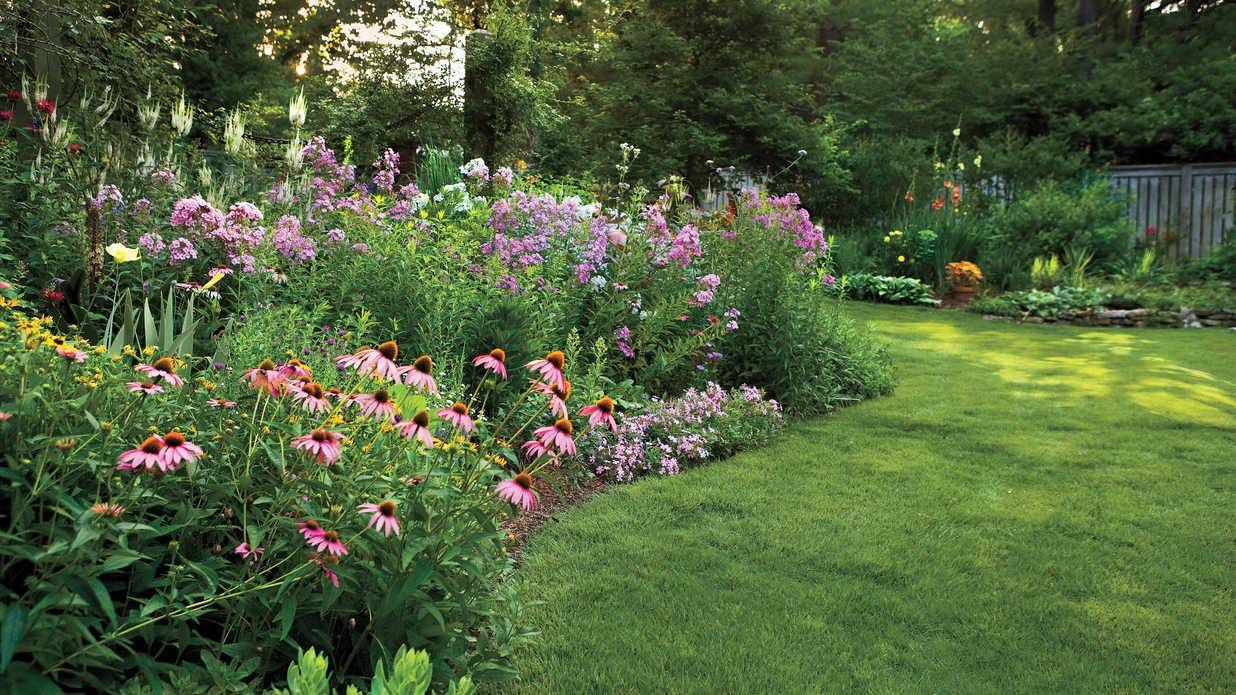 20 Perennial Garden Plants Ideas To Consider SharonSable