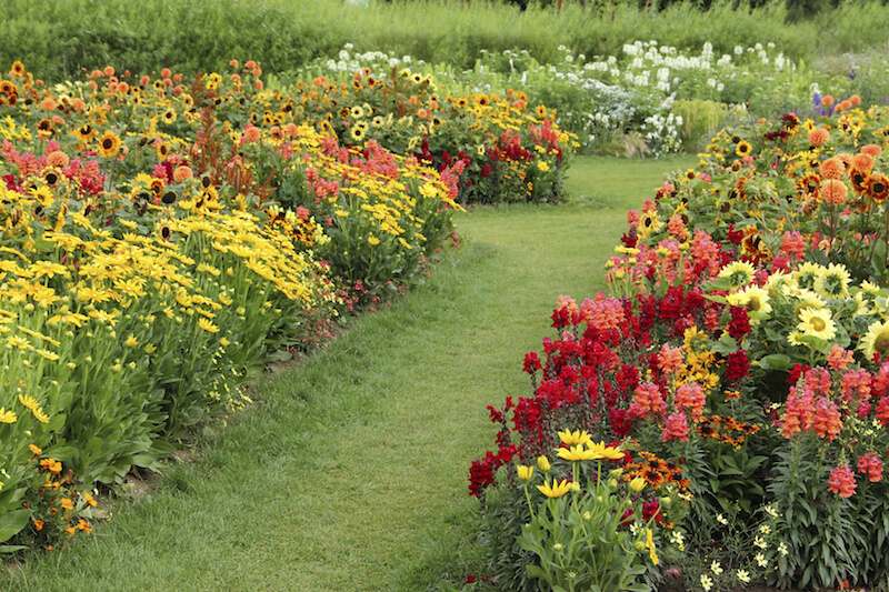 Easycare Garden Ideas