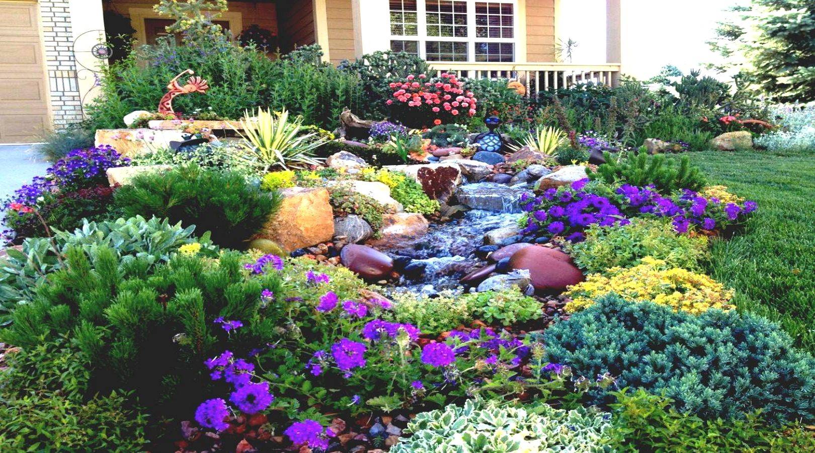 Stunning Full Sun Front Yard Landscaping Pictures