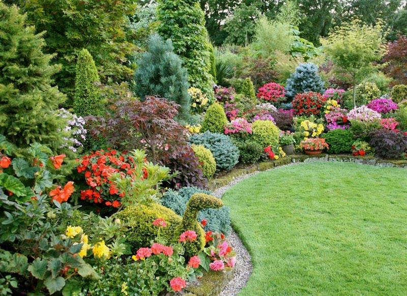 My Fullsun Perennial Gardens