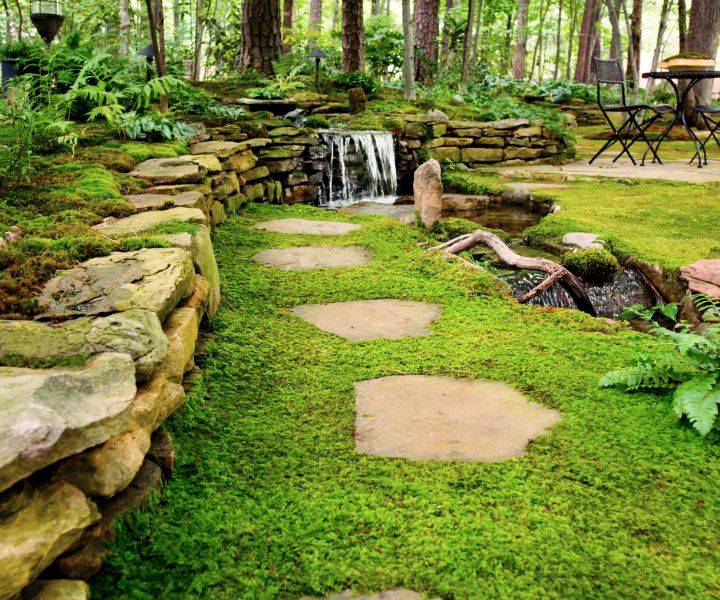 Mosscovered Garden