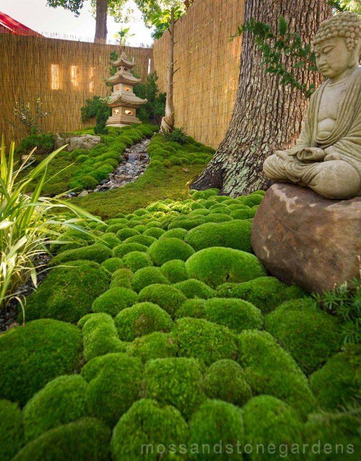 Moss Garden Ideas