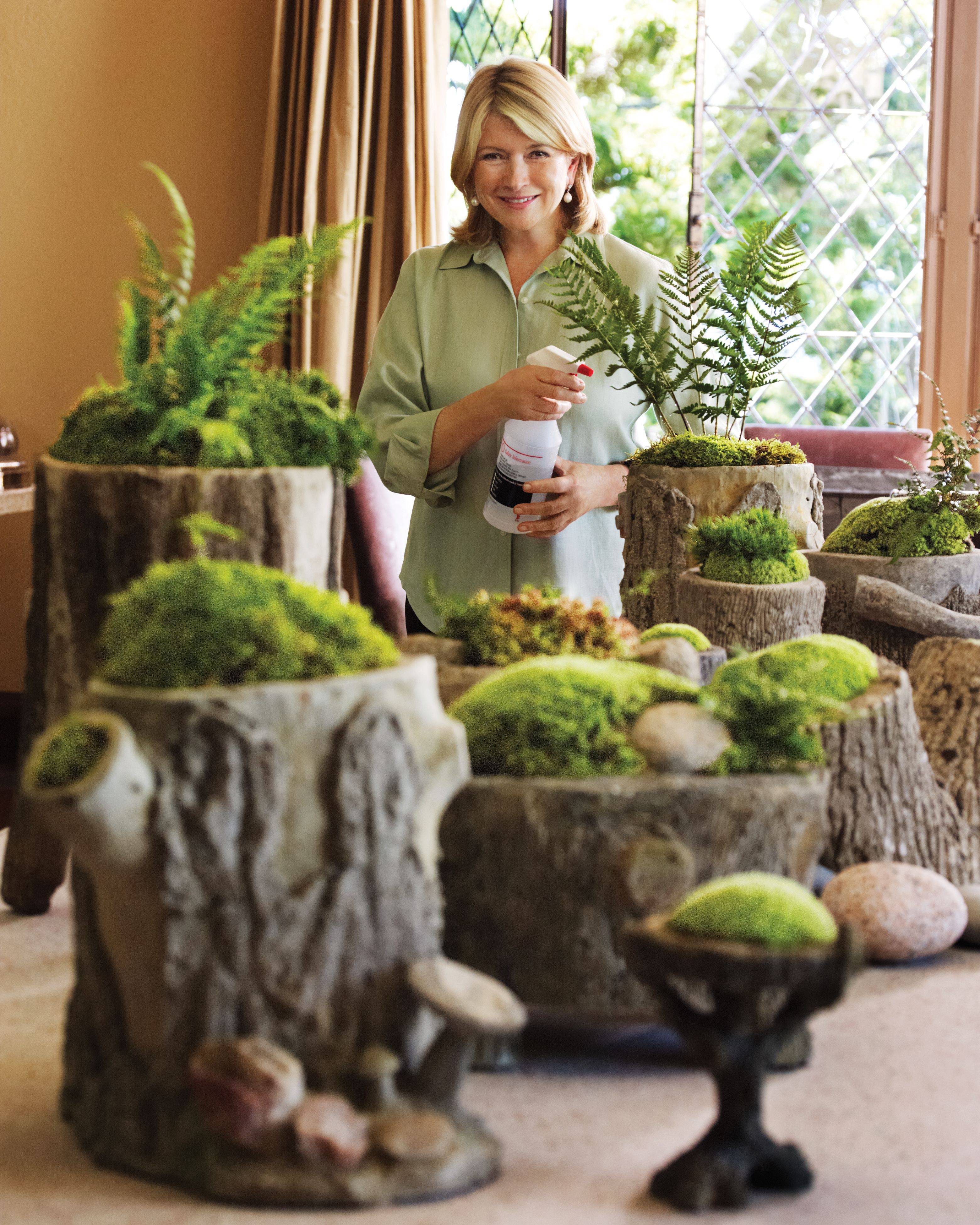 Garden Ideas