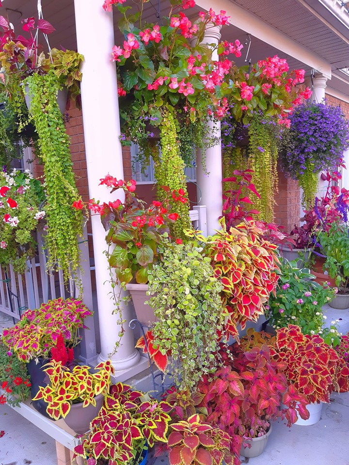 Wonderful Whimsical Garden Ideas Page