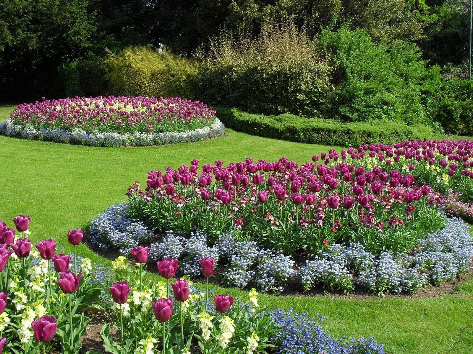 Small Garden Landscaping Ideas