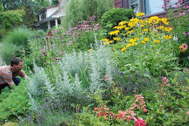 Wshgnet Garden Design Dilemmas