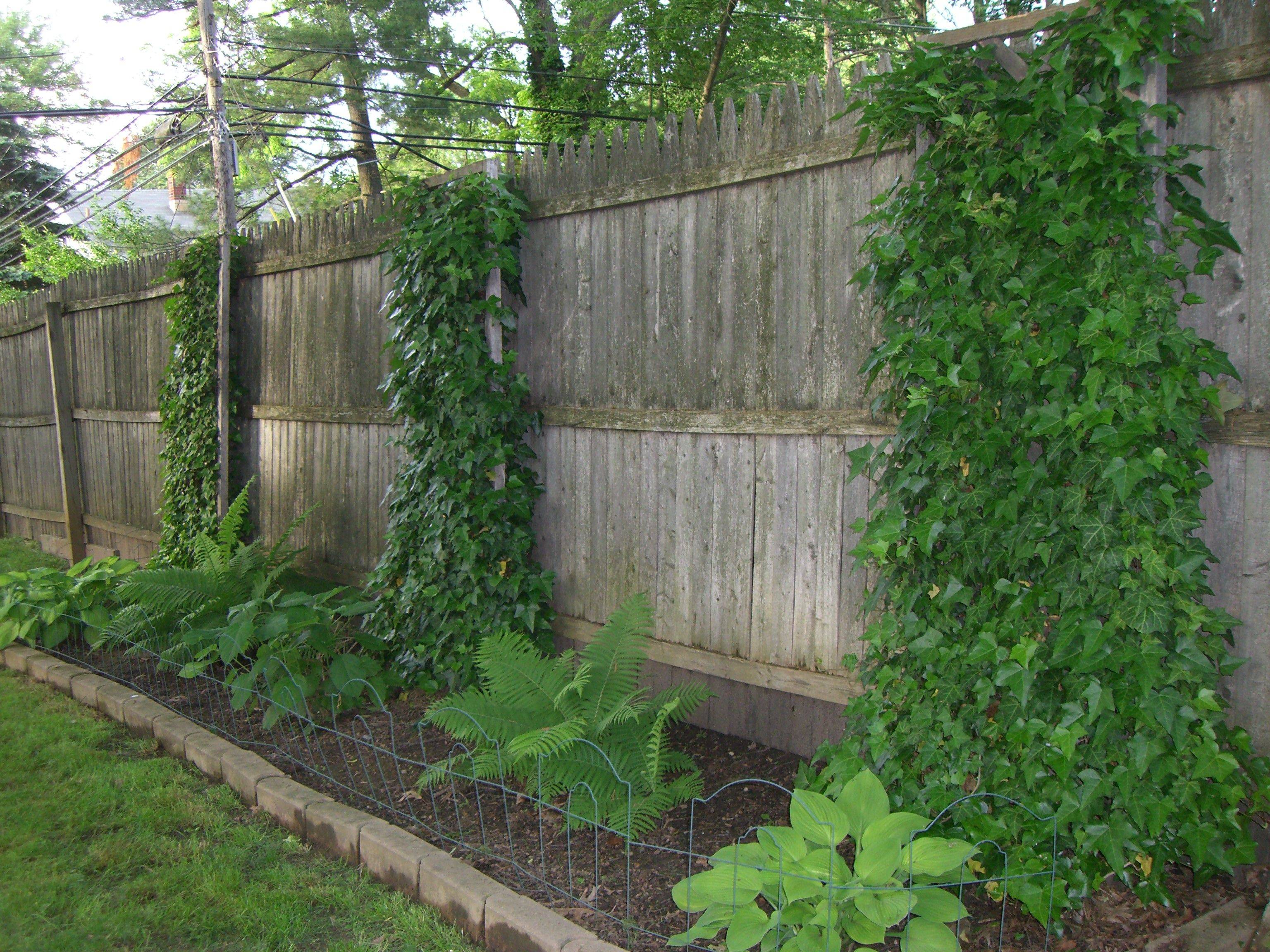 23 Ugly Garden Ideas To Consider SharonSable