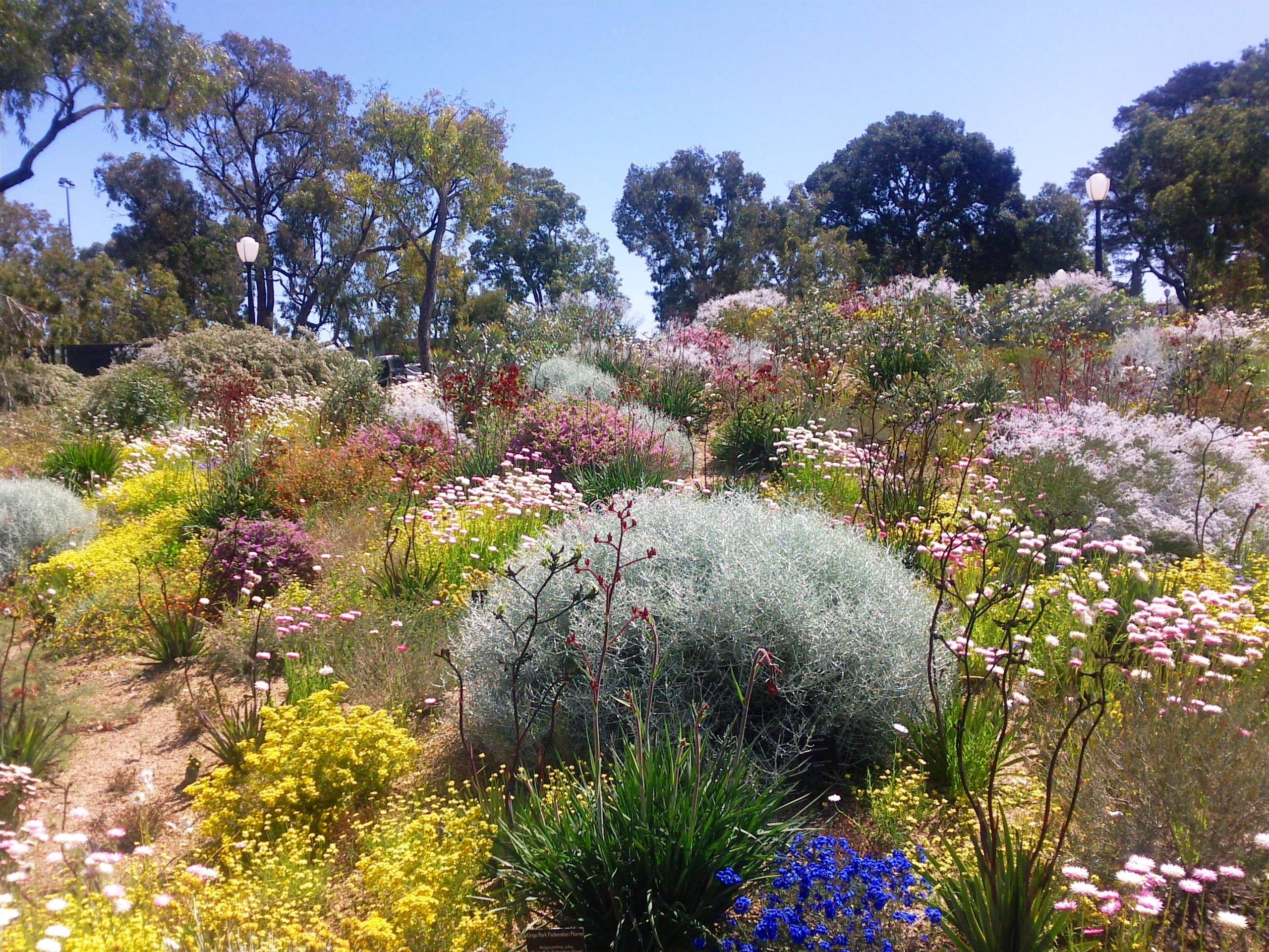 Backyard Native Garden Fence Ideas Site