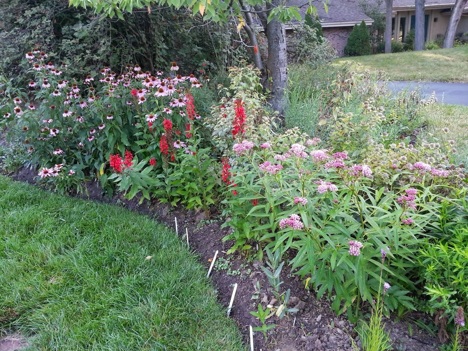 Browse Garden Design California Native Plant Society Blog