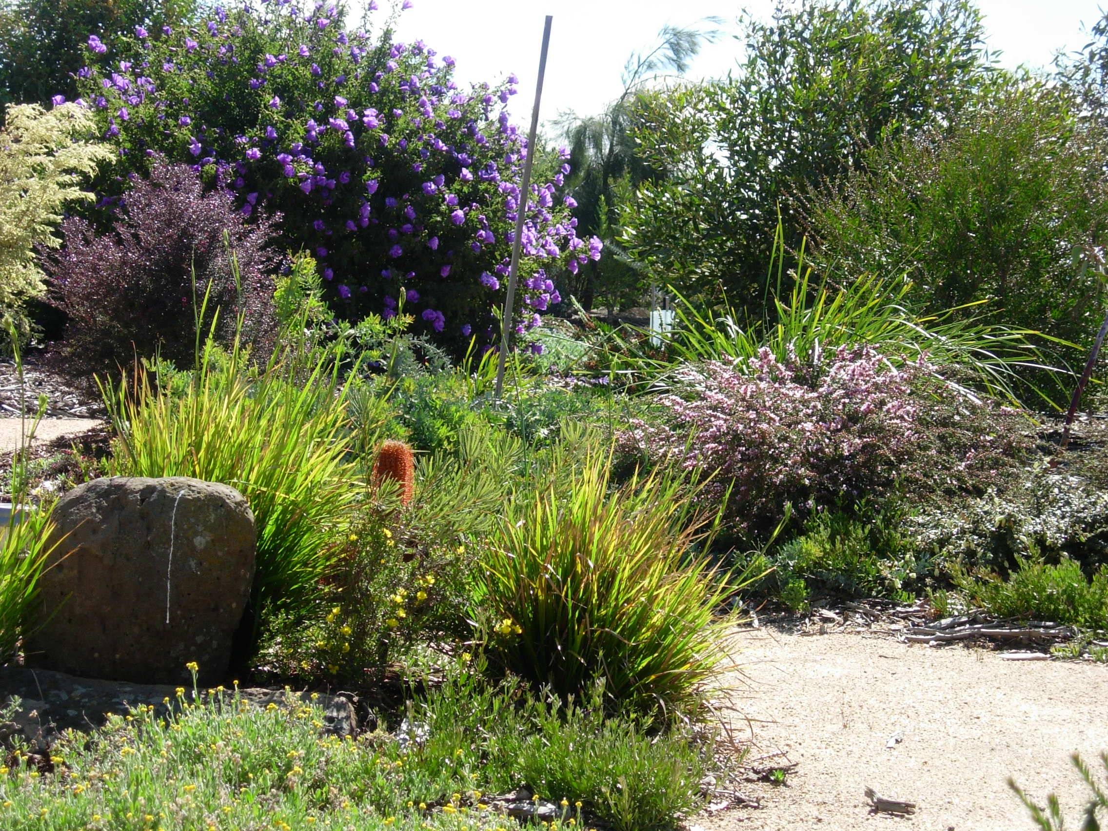 Our Australian Gardens