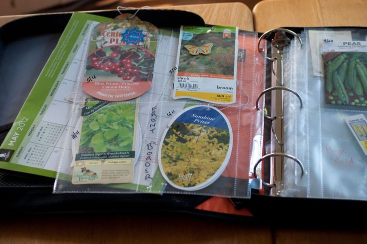 A Garden Journal