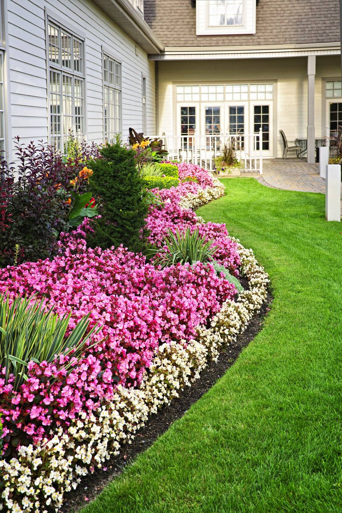 Flower Border Ideas
