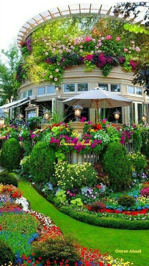 Lush Flower Garden Plant Flower Stock