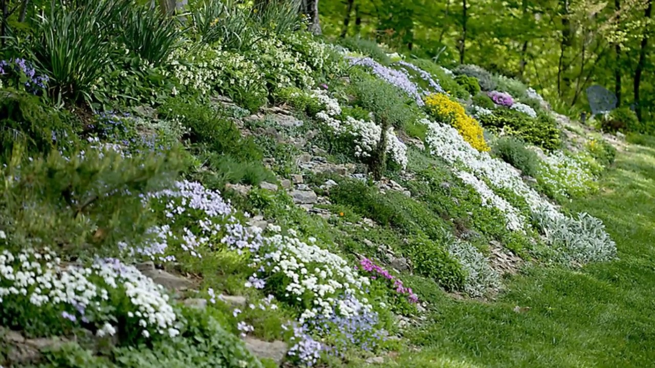 Gardens Hillside Landscaping