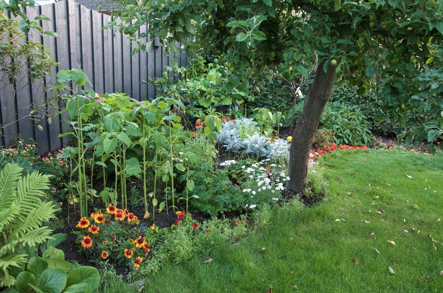 24-messy-front-garden-ideas-worth-to-check-sharonsable