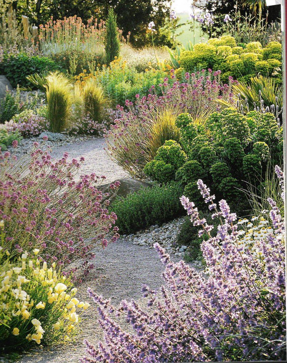 Front Yard Landscaping Design